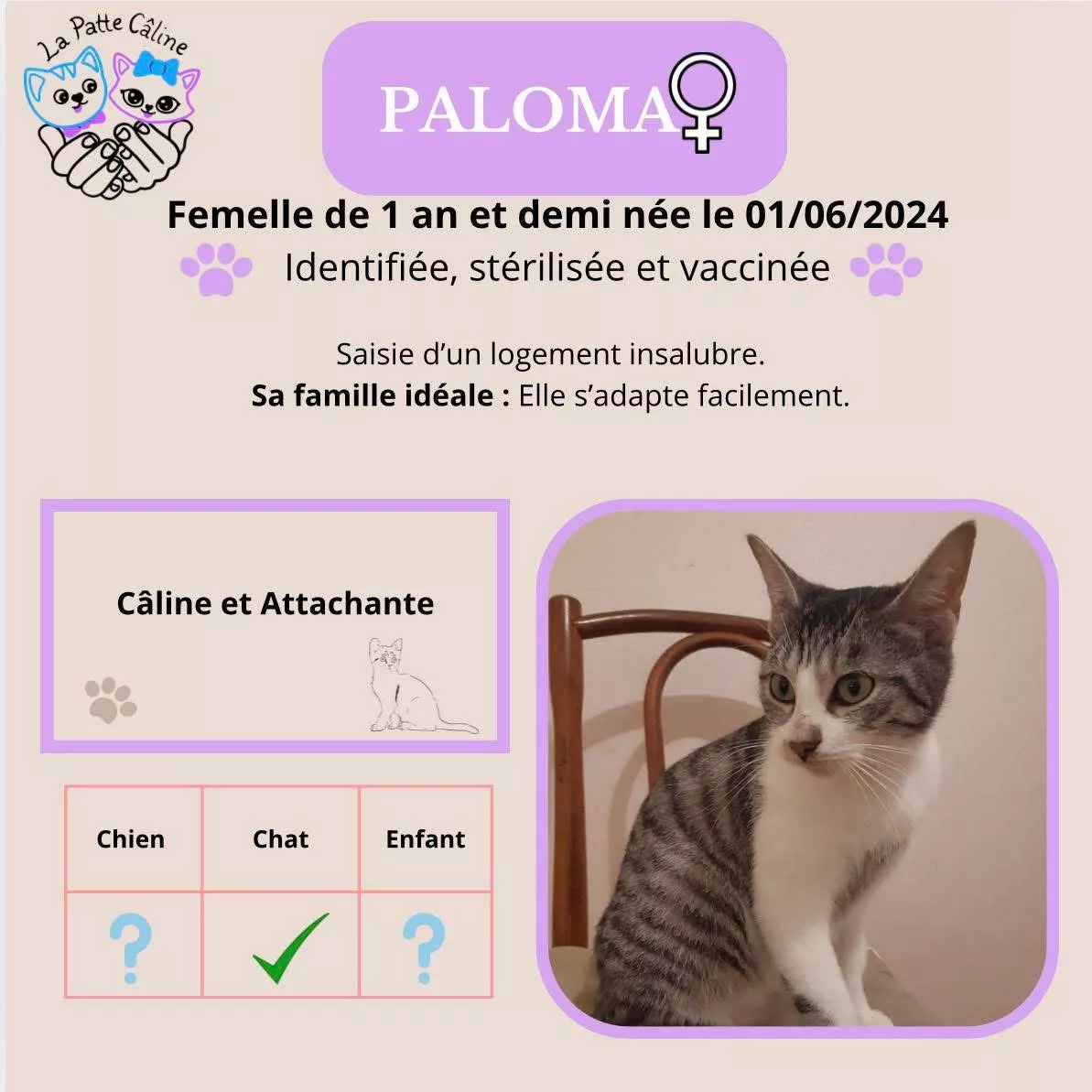 Paloma