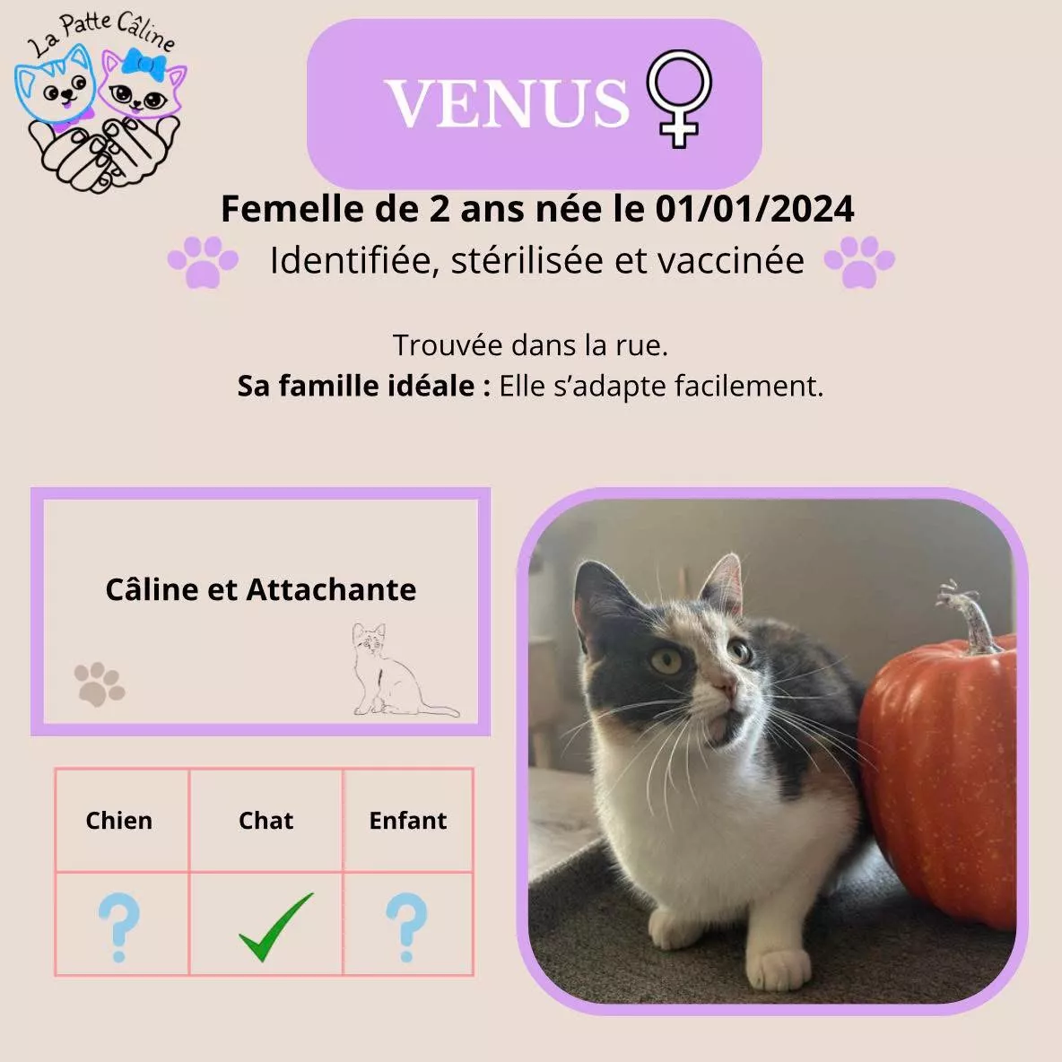 Venus